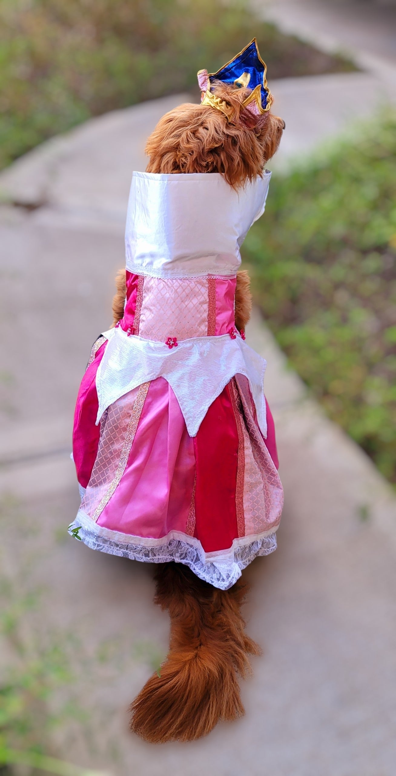 Sleeping Beauty revisable pet costume, Princess Aurora pet costume, Blue Sleeping Beauty Pet, Pink Sleeping Beauty pet