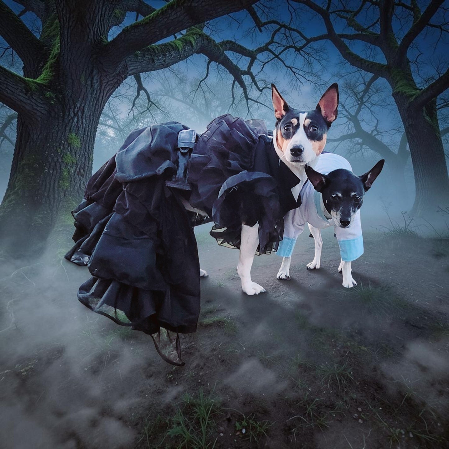 Tyler Pet Costume, Tyler Wednesday dog suit, Raven Pet Suit, Prom Pet Suit, prom dog suit, white Pet suit, wedding Pet suit, suit for pets