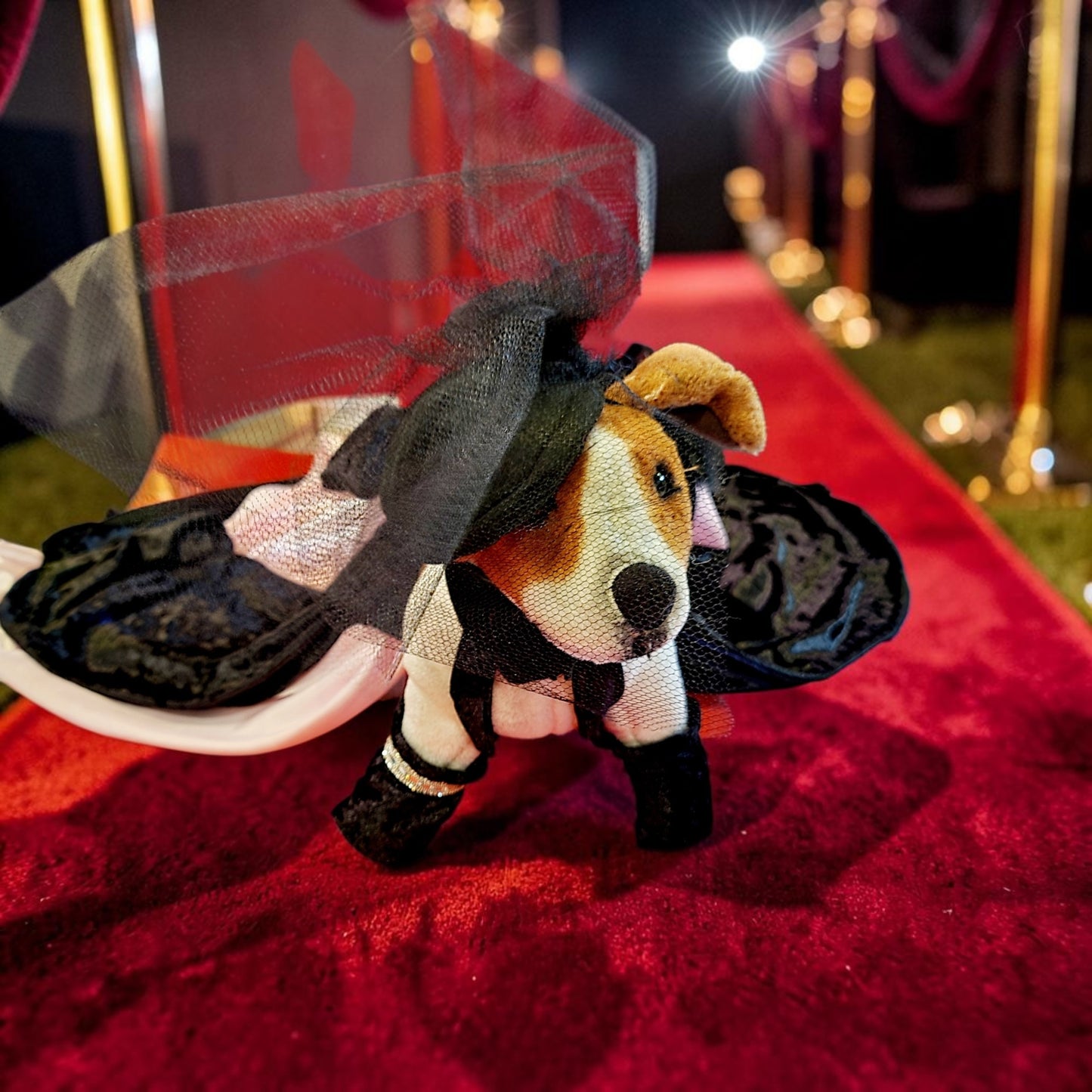 J-Lo pet cutout dress, J-Lo pet costume, J-Lo dog costume, Mutt gala pet costume, Jennifer Lopez pet costume