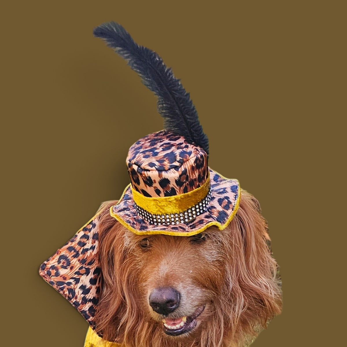 Pimp pet hat, pimp dog hat, gangster pet hat, gangster dog hat, pet pimp hat, pimp cat hat, dog gangster hat, pimp feather pet hat