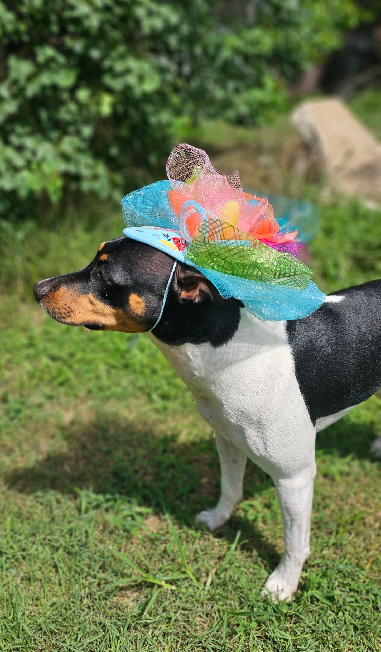 Kentucky Derby pet fasunator hat, derby pet hat