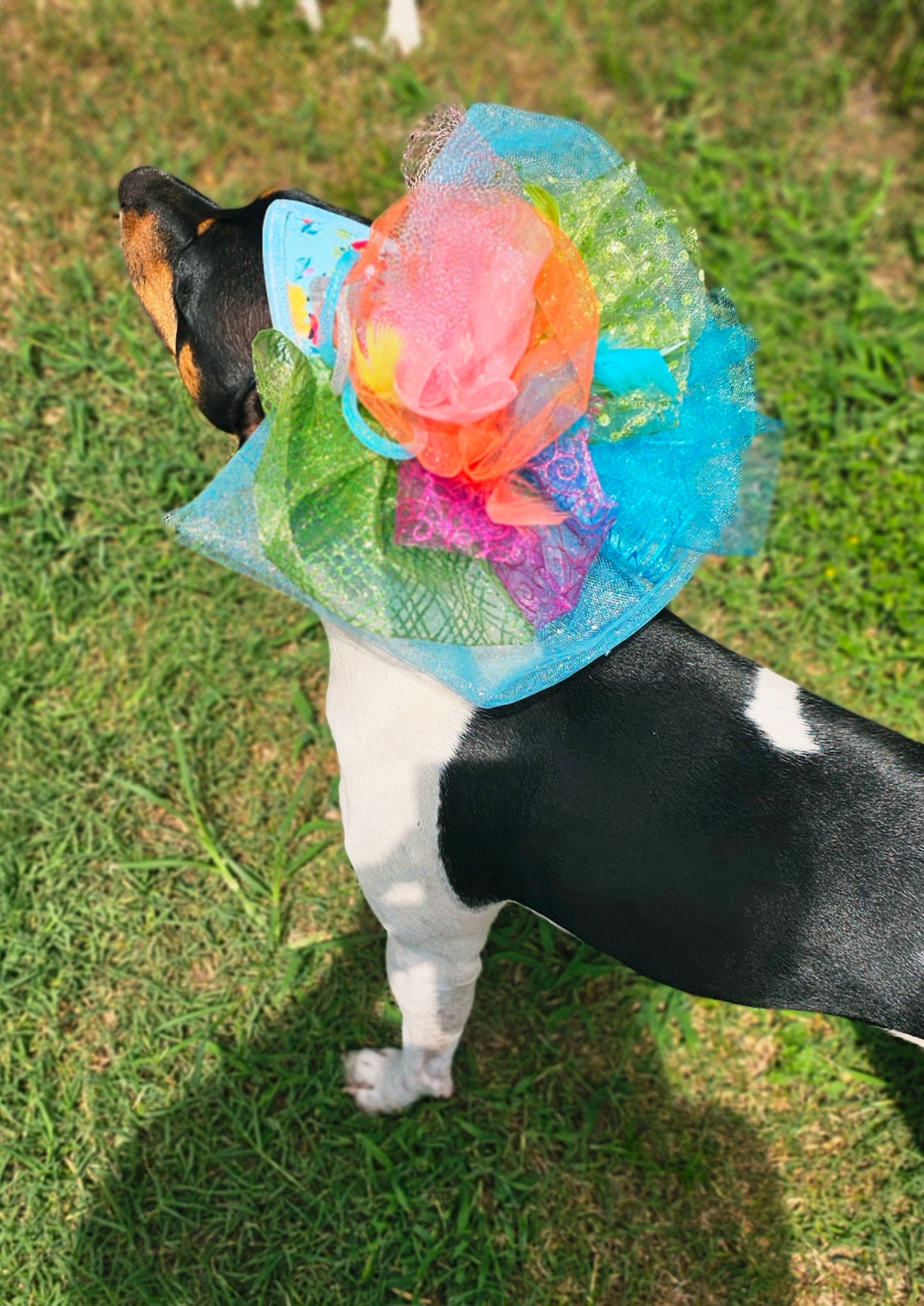 Kentucky Derby pet fasunator hat, derby pet hat