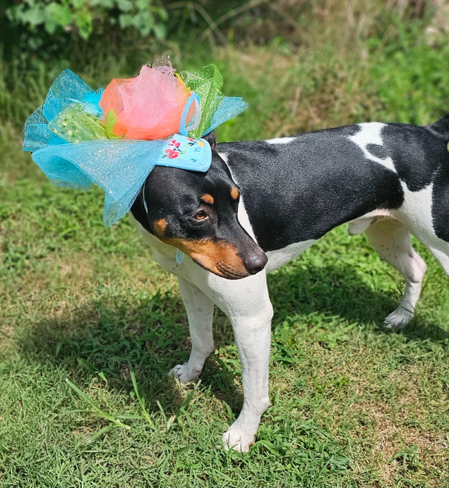 Kentucky Derby pet fasunator hat, derby pet hat