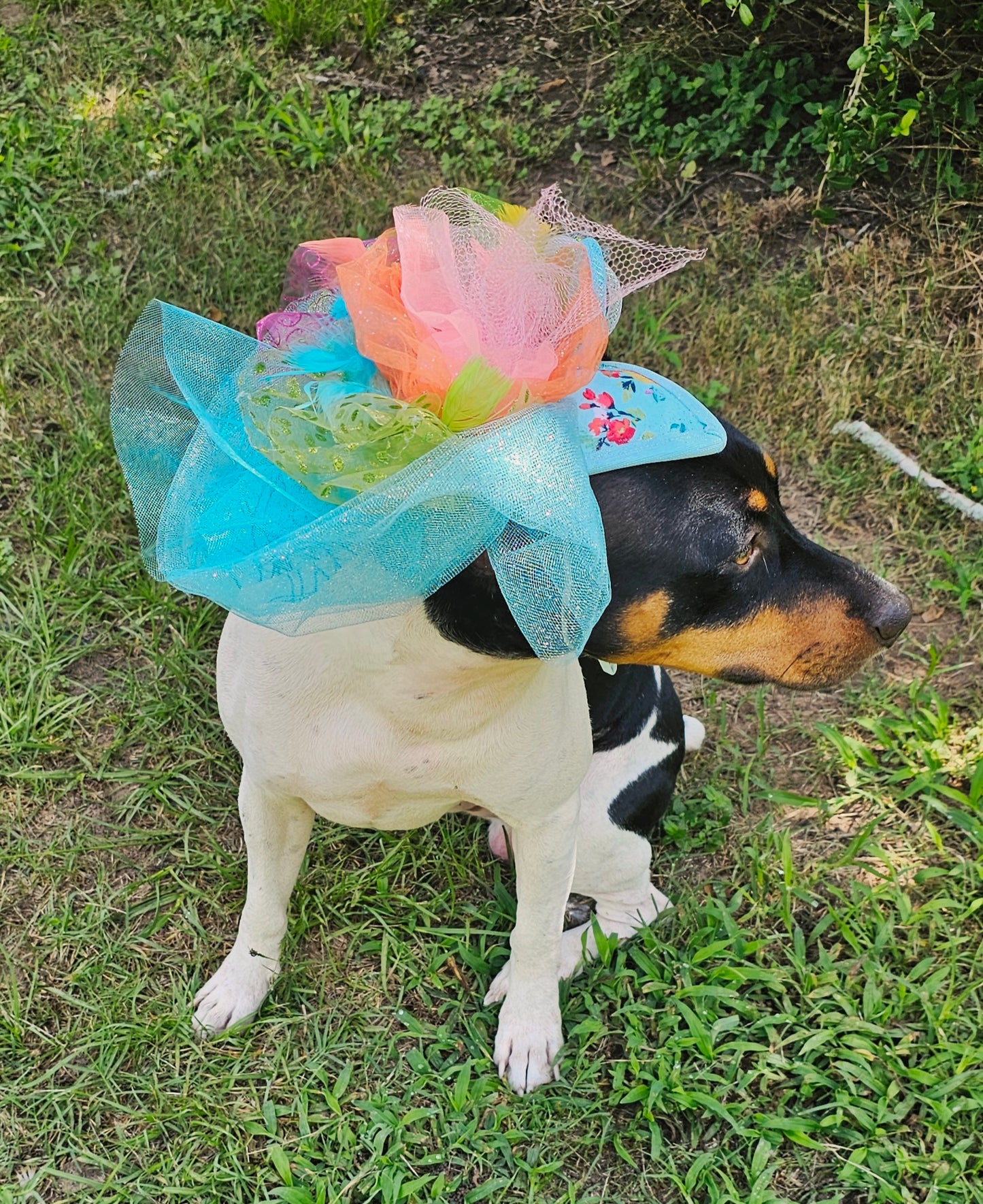 Kentucky Derby pet fasunator hat, derby pet hat
