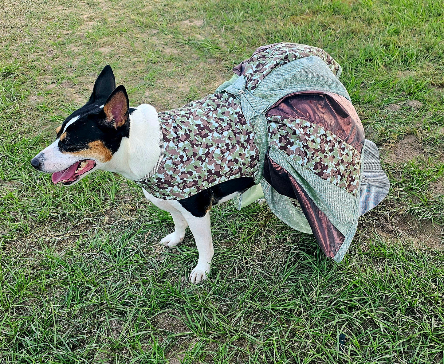 Camouflage pet dress, Camo pet dress, army pet dress, Camouflage dog dress, Camouflage cat dress, hunting pet dress, army dog dress
