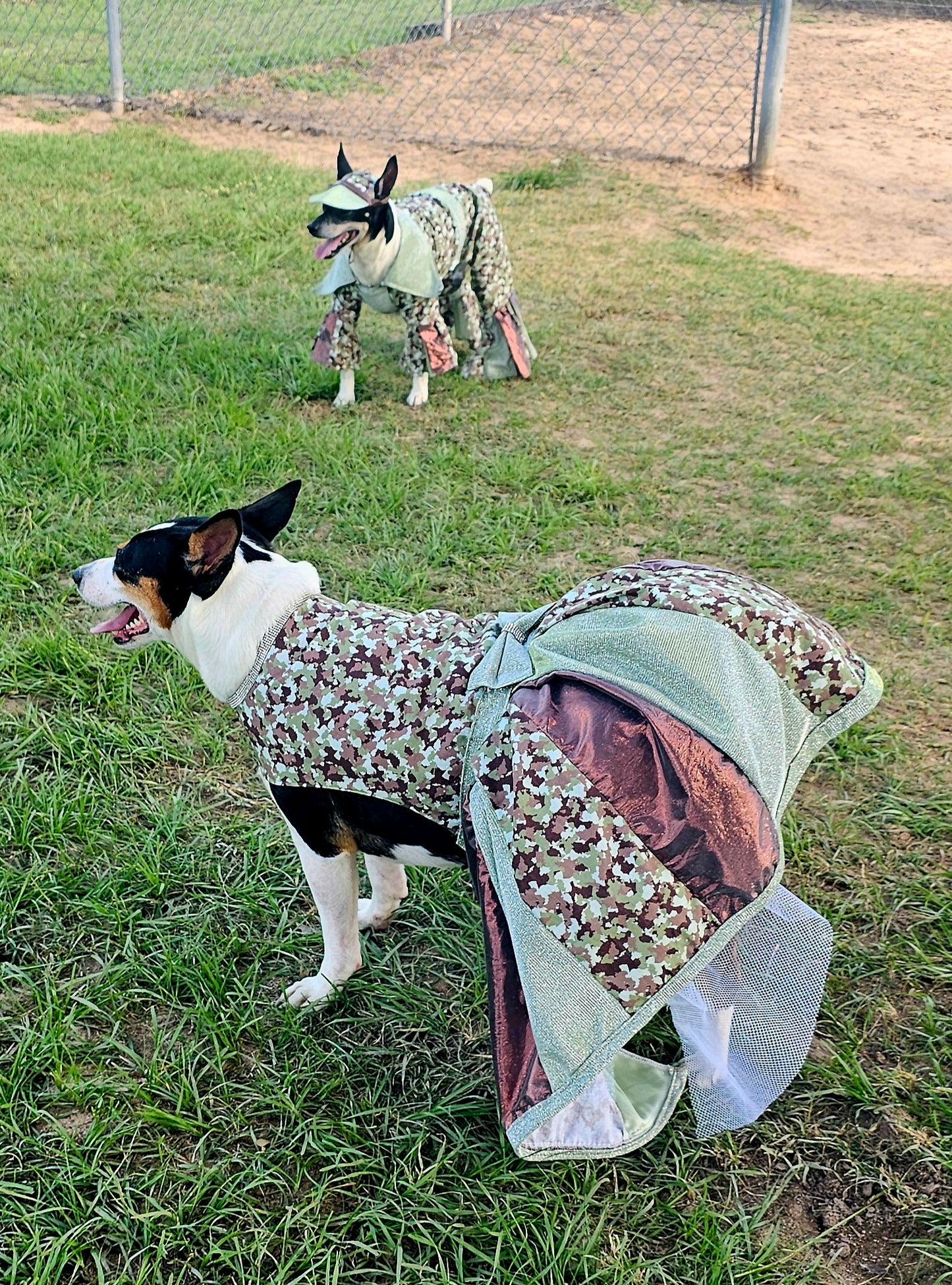 Camouflage pet dress, Camo pet dress, army pet dress, Camouflage dog dress, Camouflage cat dress, hunting pet dress, army dog dress