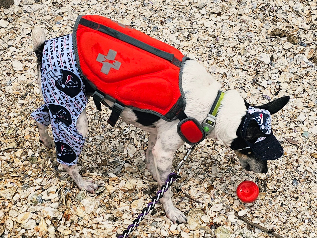 Texans sport pet swimming shorts and hat, Houston Texans pet shorts and hat