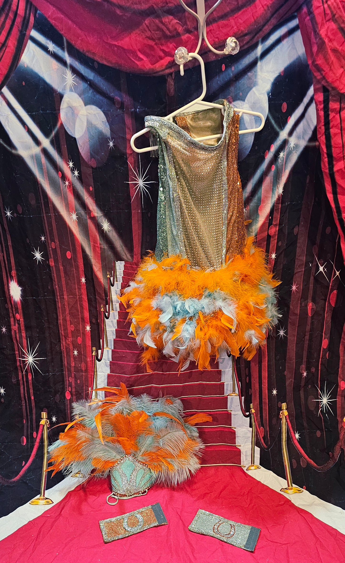 Showgirl pet costume
