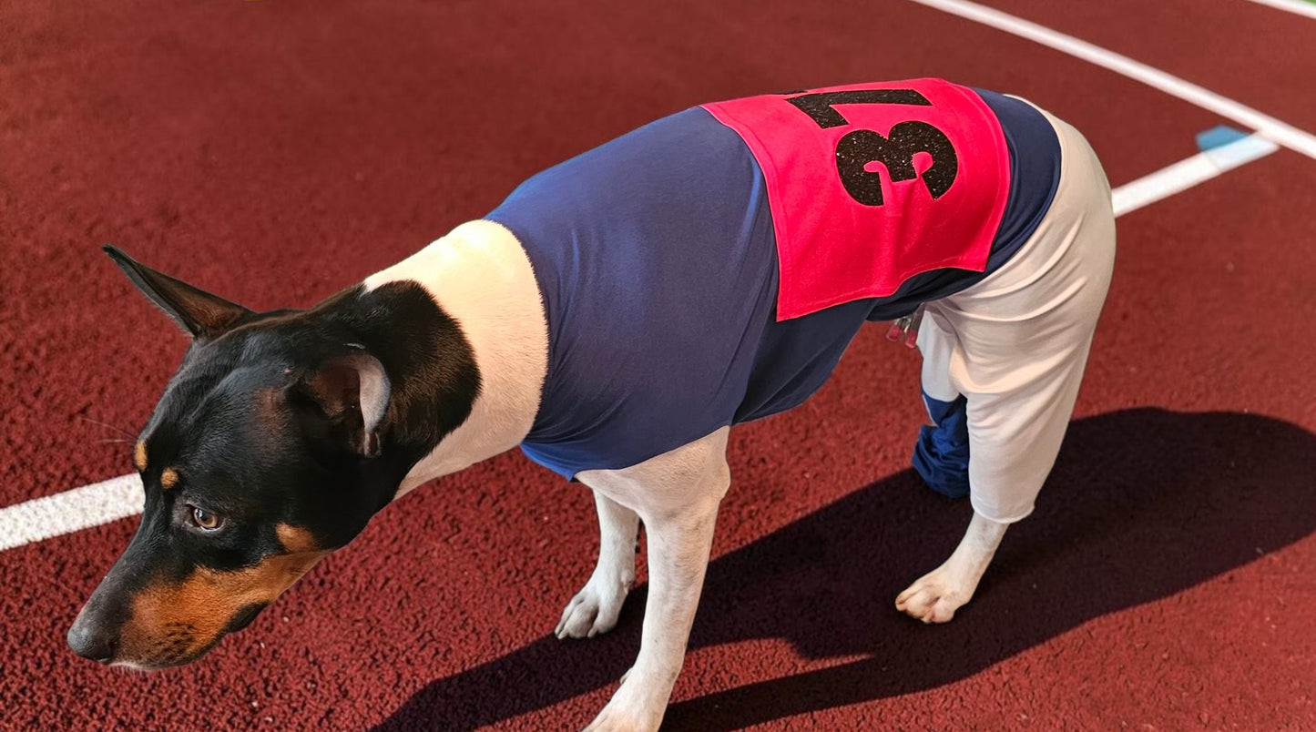 80s pet track suit, one-leg pet track suit, Florence Joyner pet suit, Flo Jo dog track suit