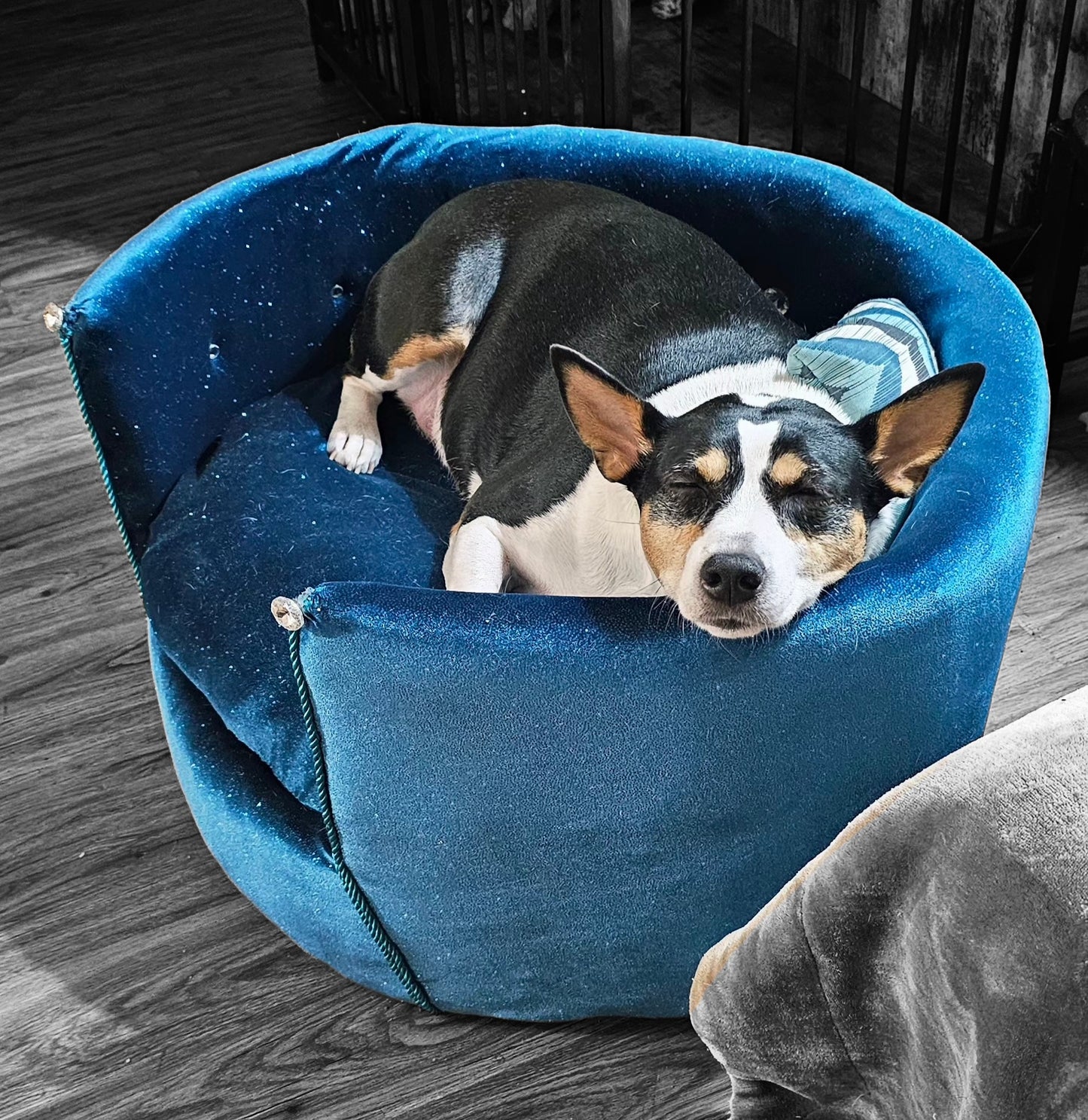 Glitter round velvet luxury pet bed, custom dog beds