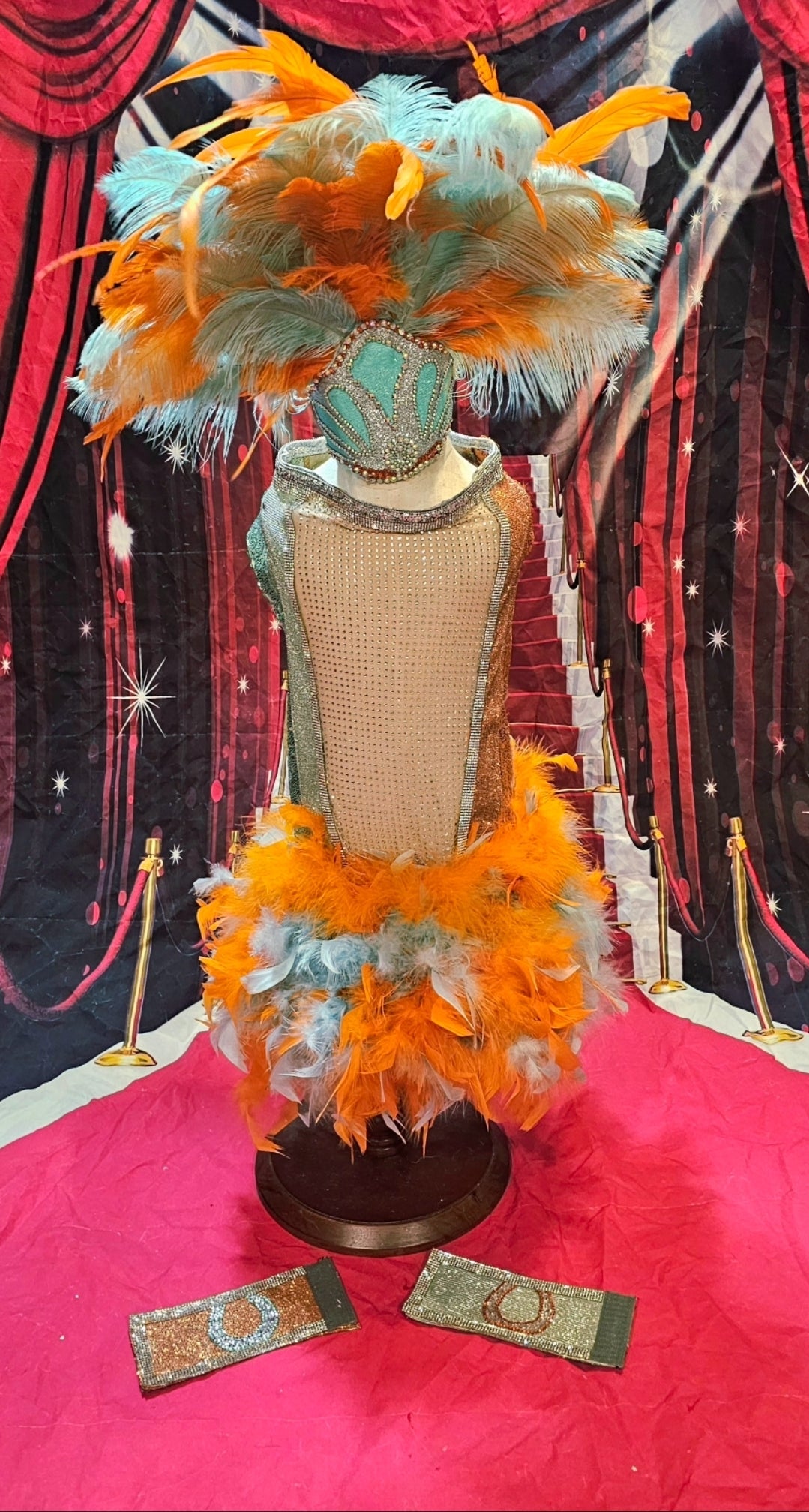 Showgirl pet costume