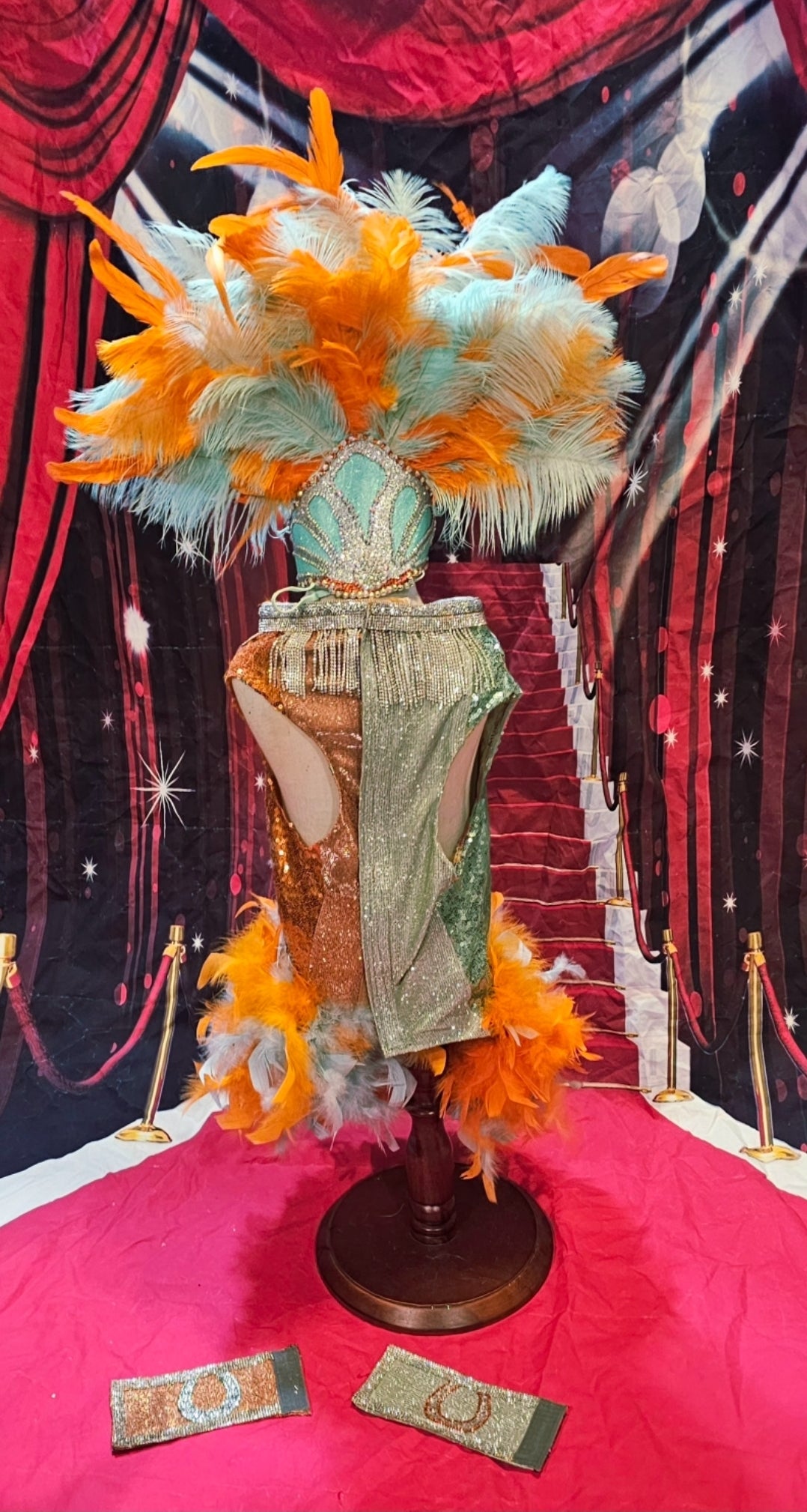 Showgirl pet costume