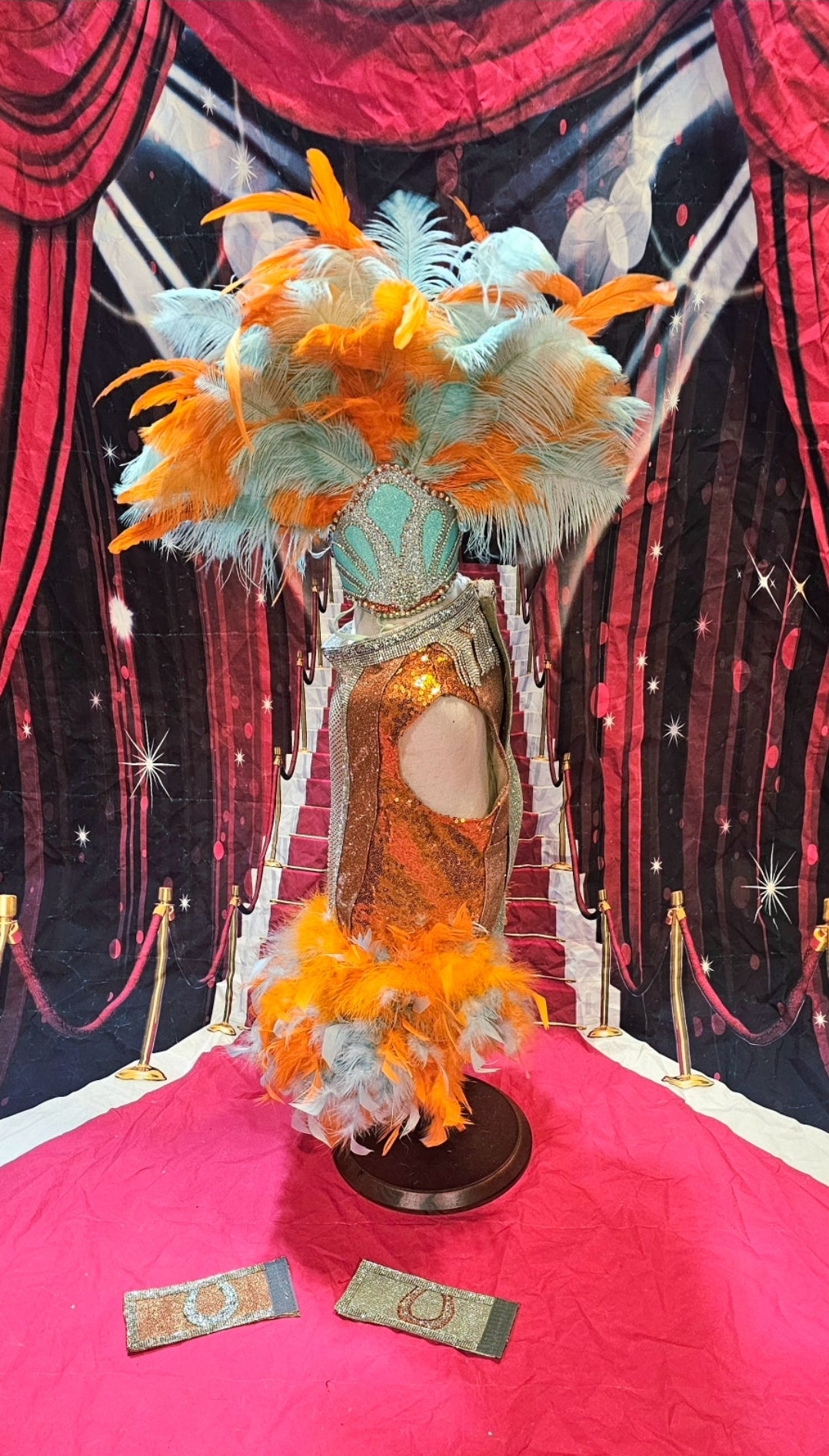 Showgirl pet costume