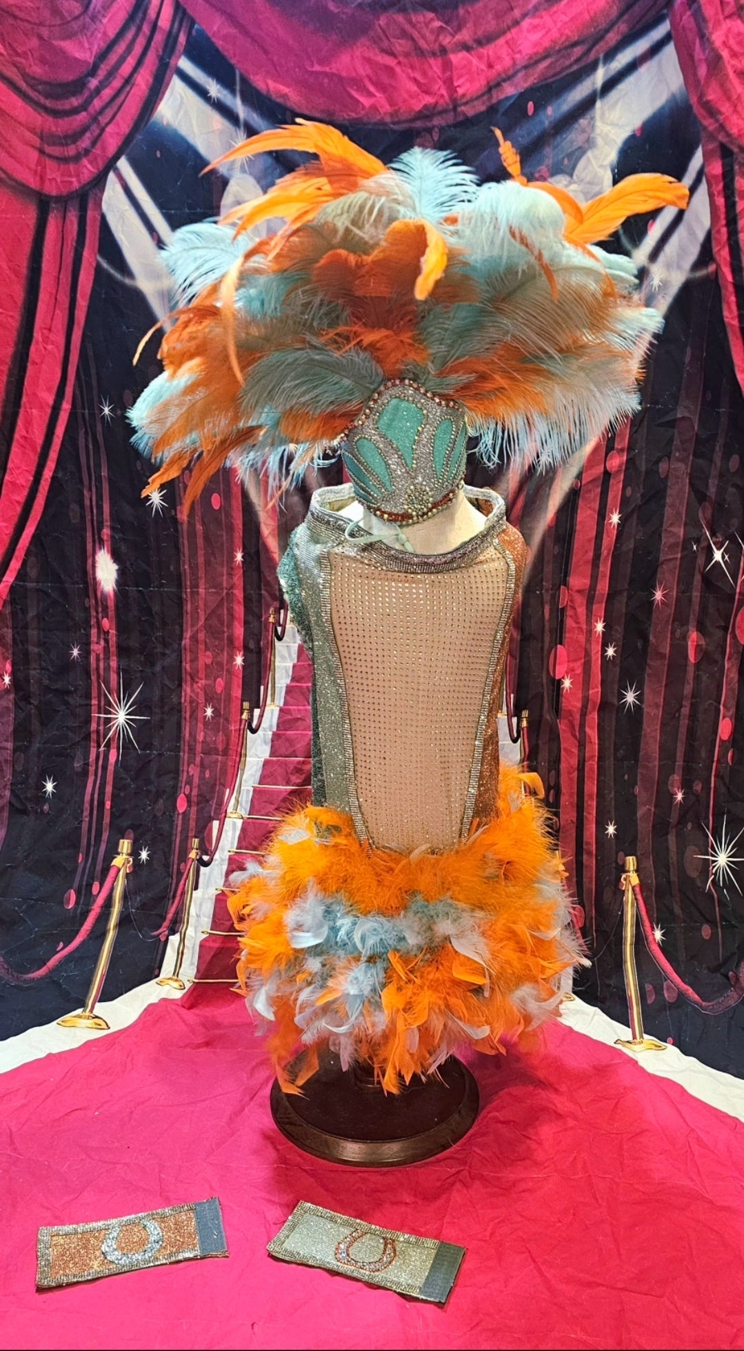 Showgirl pet costume