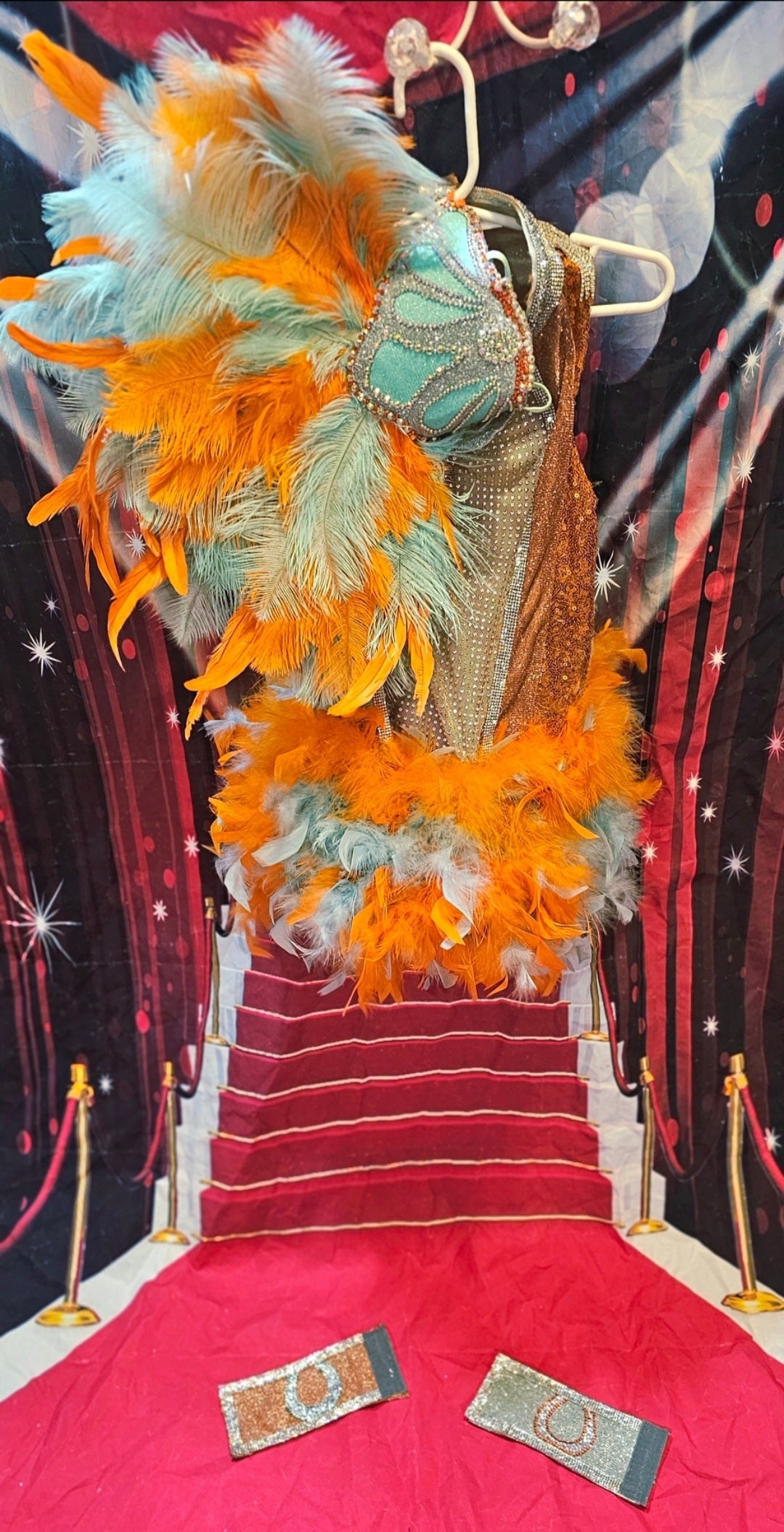 Showgirl pet costume
