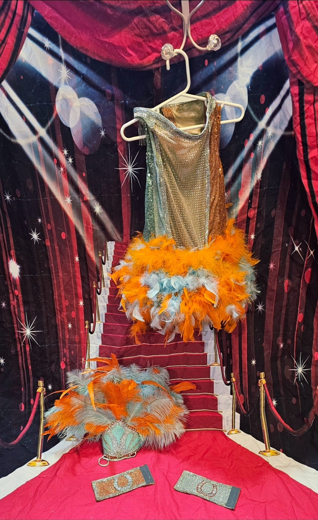 Showgirl pet costume