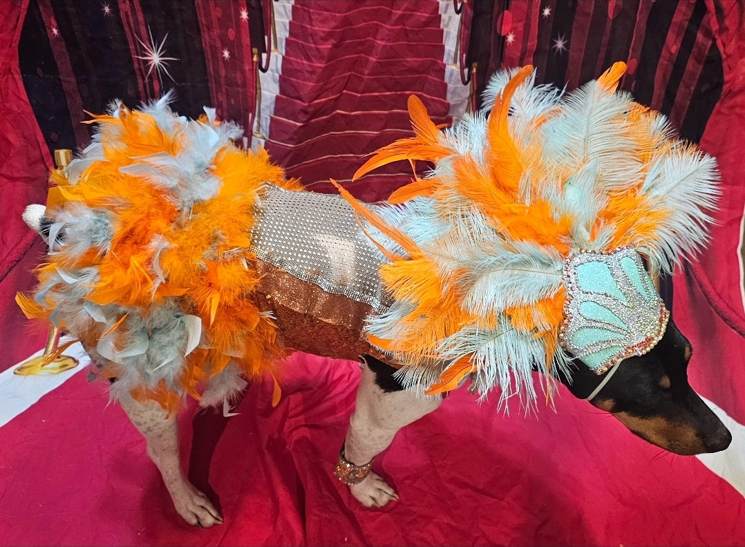 Showgirl pet costume