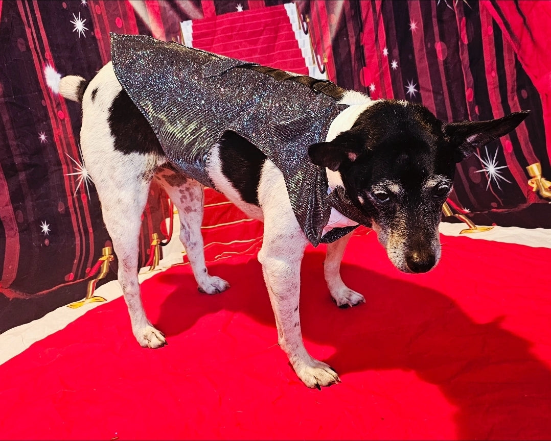 Glitter pet tuxedo, pet groomsman glitter tux, tuxedo for pets