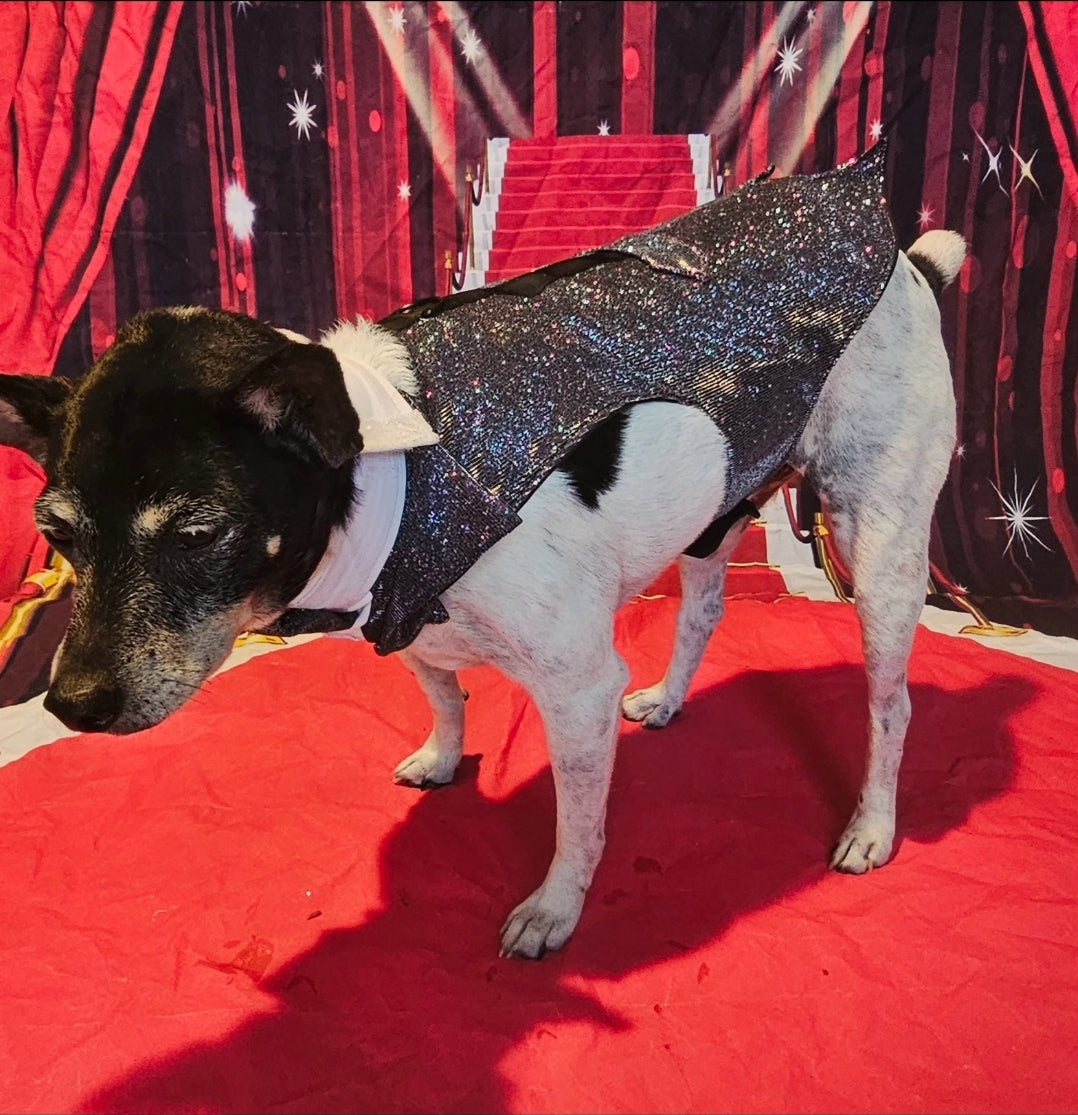 Glitter pet tuxedo, pet groomsman glitter tux, tuxedo for pets