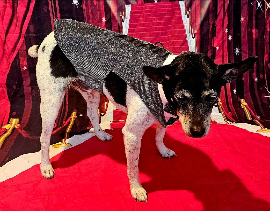 Glitter pet tuxedo, pet groomsman glitter tux, tuxedo for pets