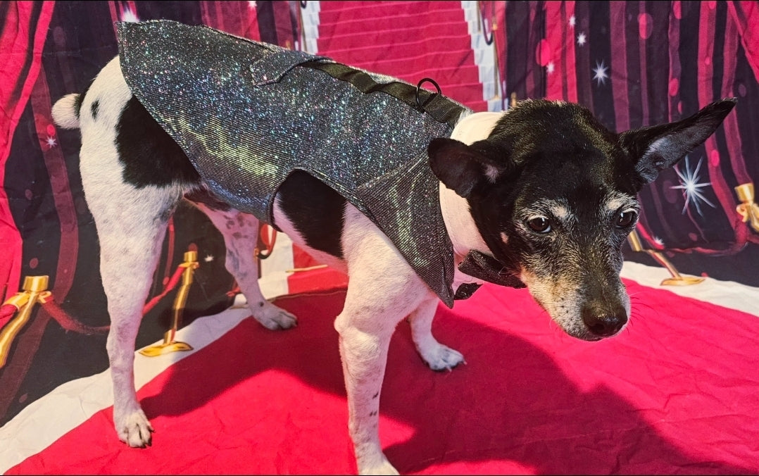 Glitter pet tuxedo, pet groomsman glitter tux, tuxedo for pets