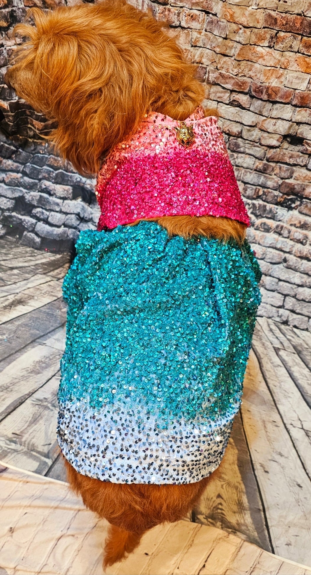 1989 pet costume, Taylor 1989 pet costume, 1989 dog costume, 1989 cat costume