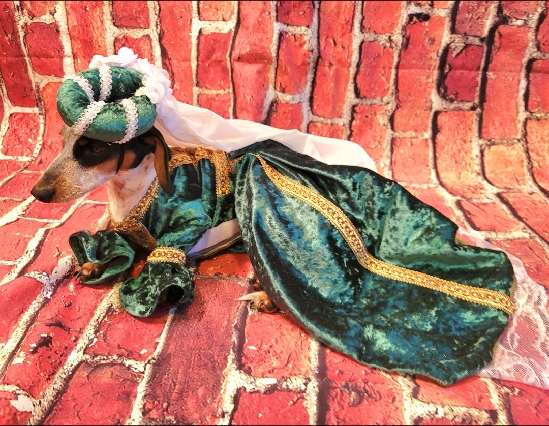 Renaissance pet dress, medieval pet dress, renaissance festival dog dress, renaissance cat dress