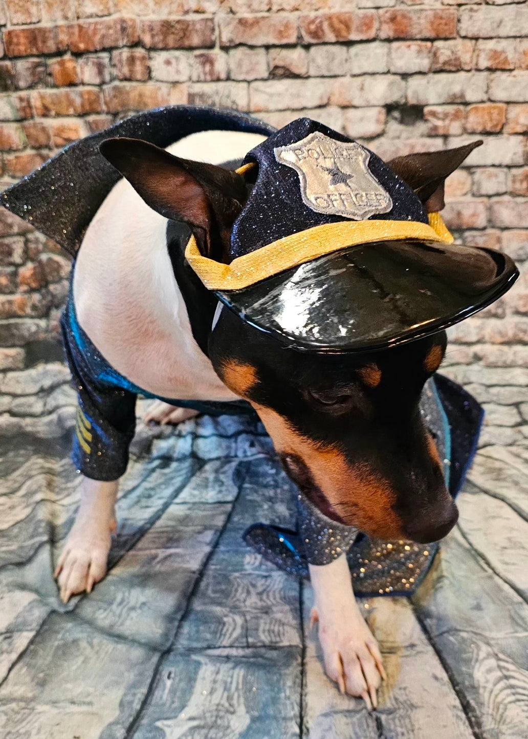 Police Officer pet dress, cop pet dress, Police officer dog costume, police officer cat costume