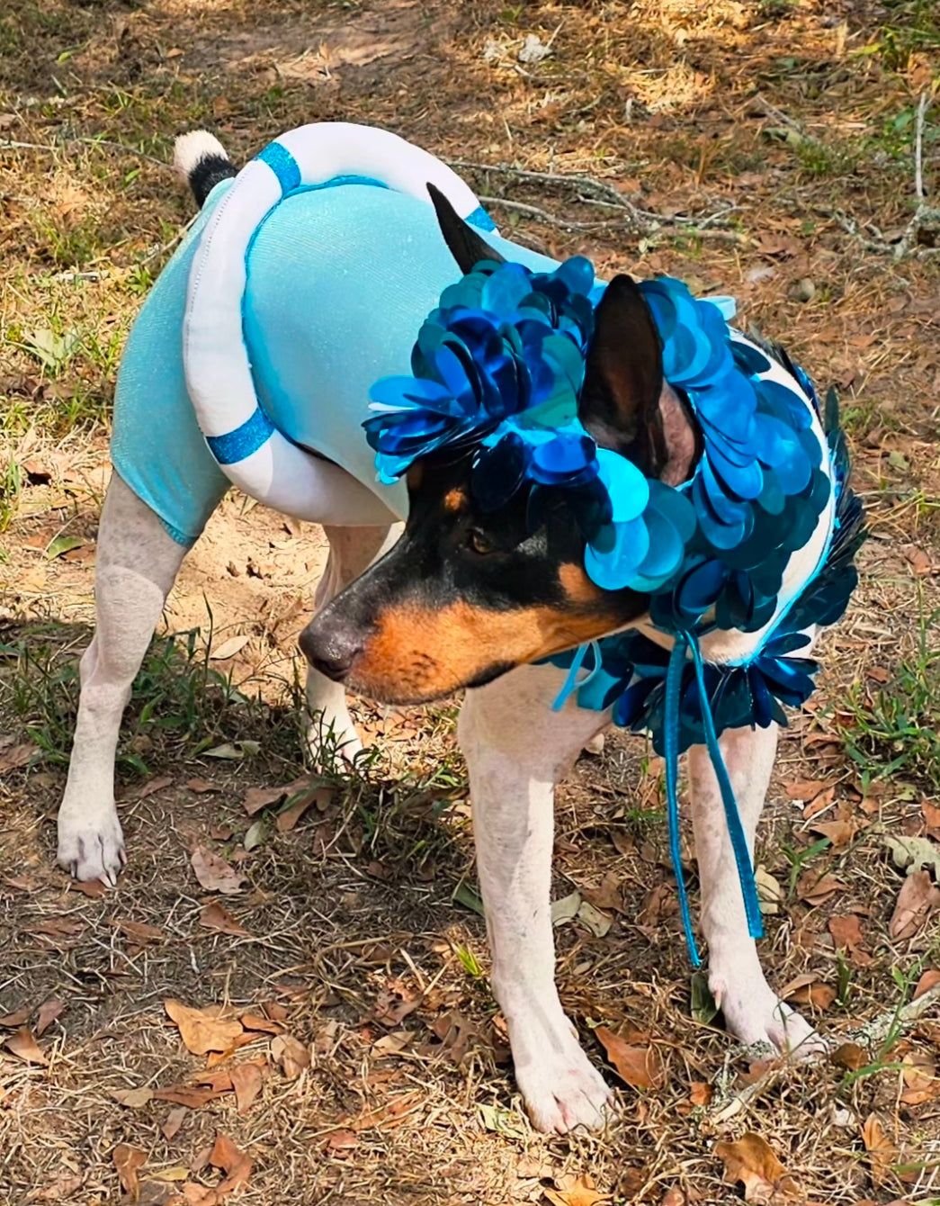 Fate of Ophelia pet costume, Fate of Ophelia swimsuit pet costume, Taylor pet costume