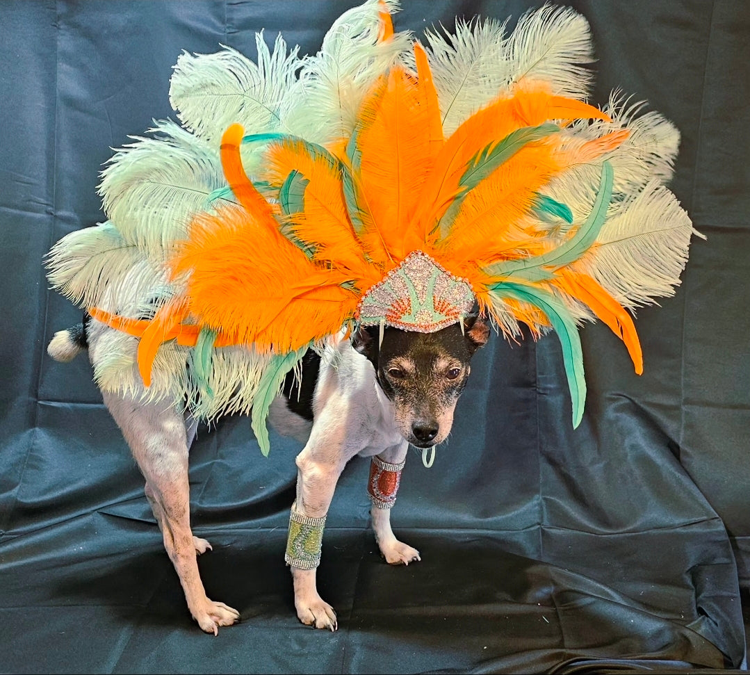 Showgirl Pet Headress, feather headress for dogs