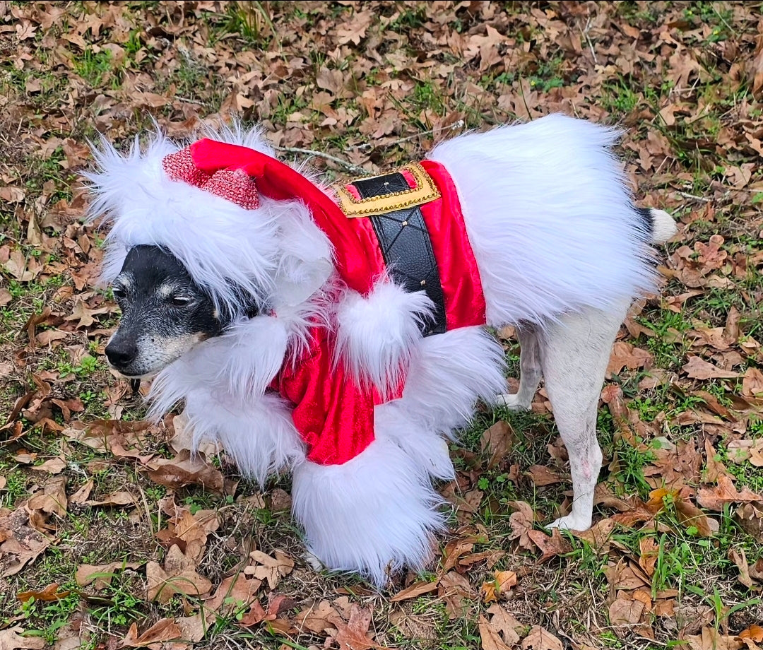 Santa Pet Costume, Santa pet shirt costume, Santa dog costume