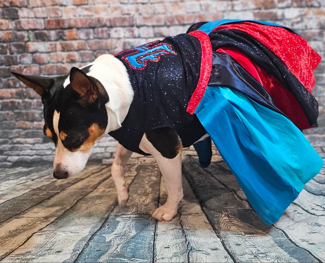 H-Town Texans color rush pet dress, Texans pet dress, Glitter Texans pet dress