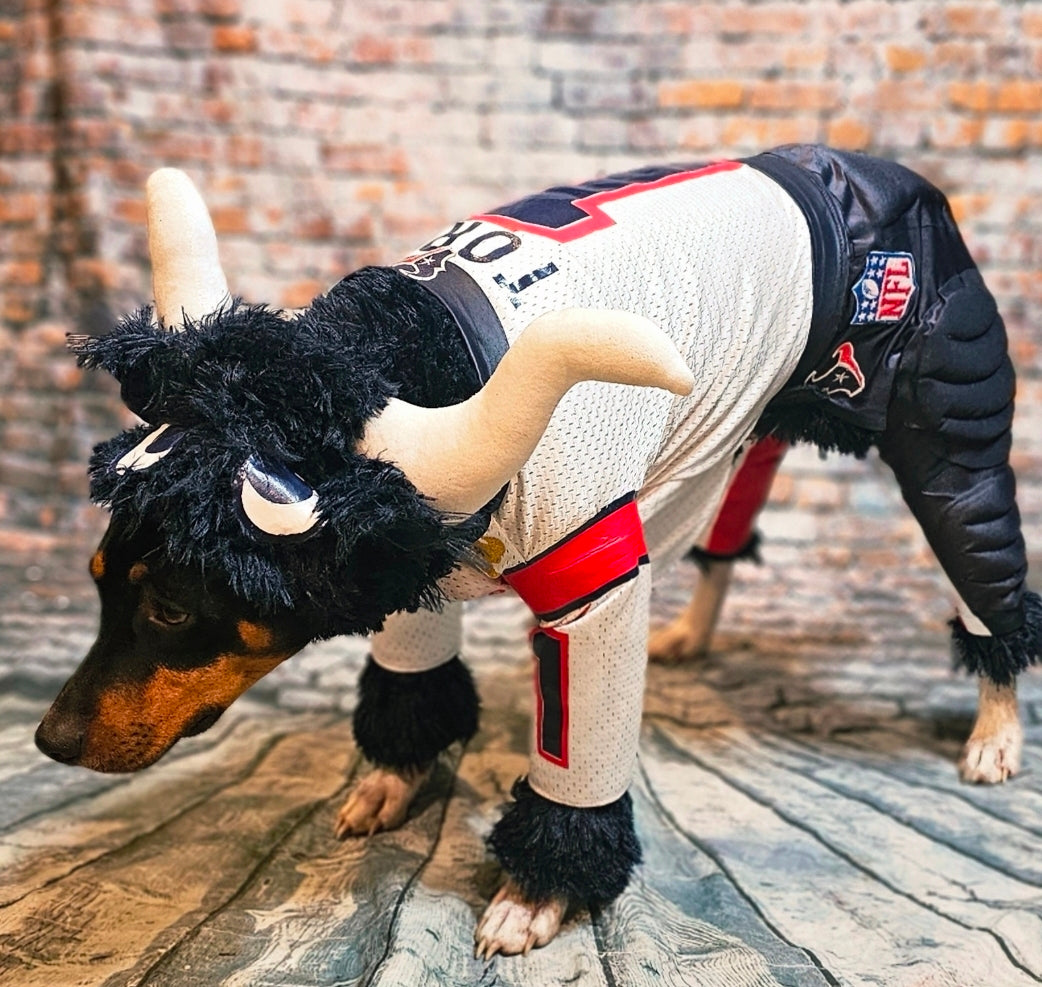 Toro The Texan Mascot pet costume, Toro dog costume, Texan pet fooball costume, Bull pet costume