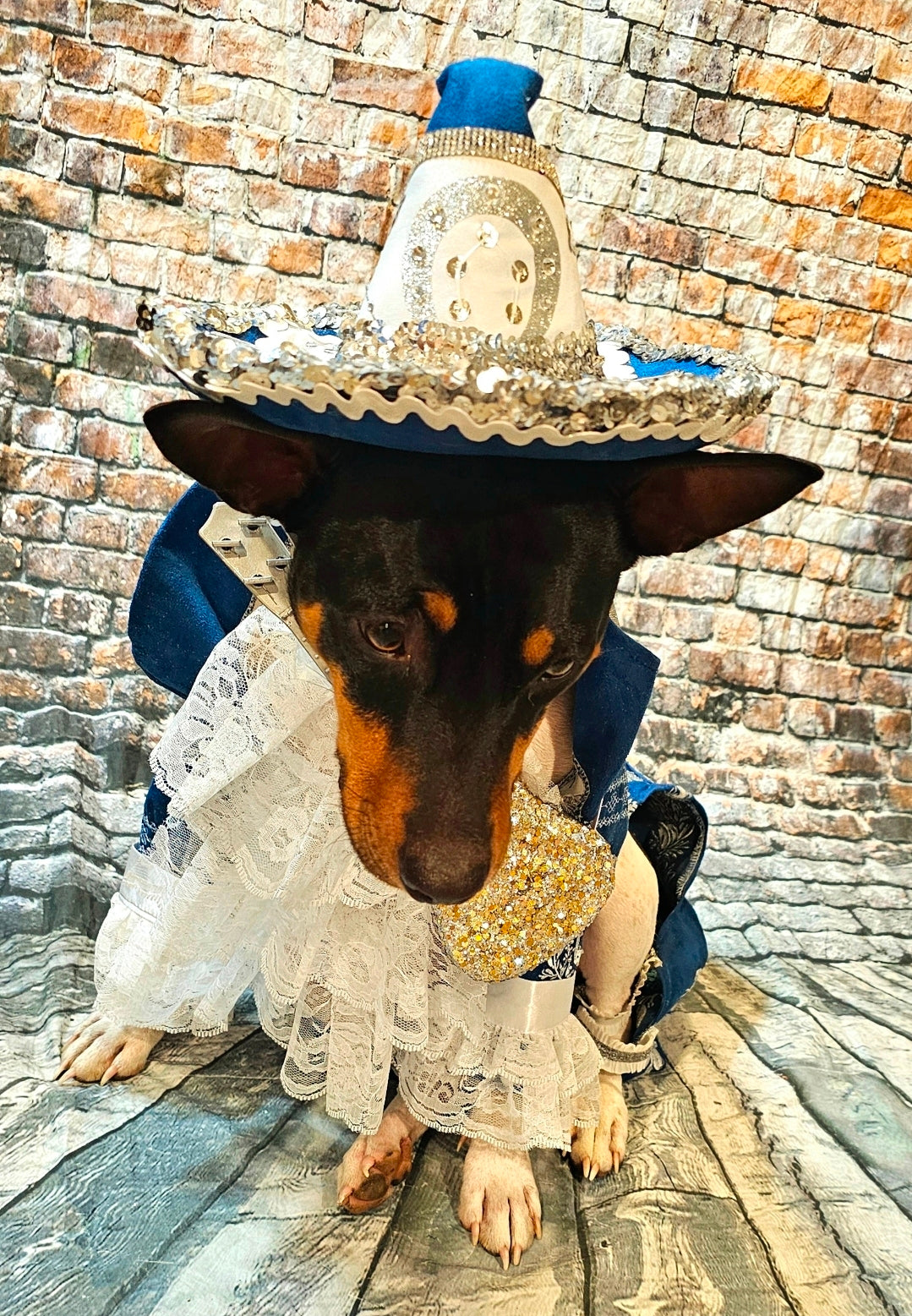 Mariachi Pet costume, Mariachi dog costume, Charro pet costume, Cinco De Mayo Pet Costume