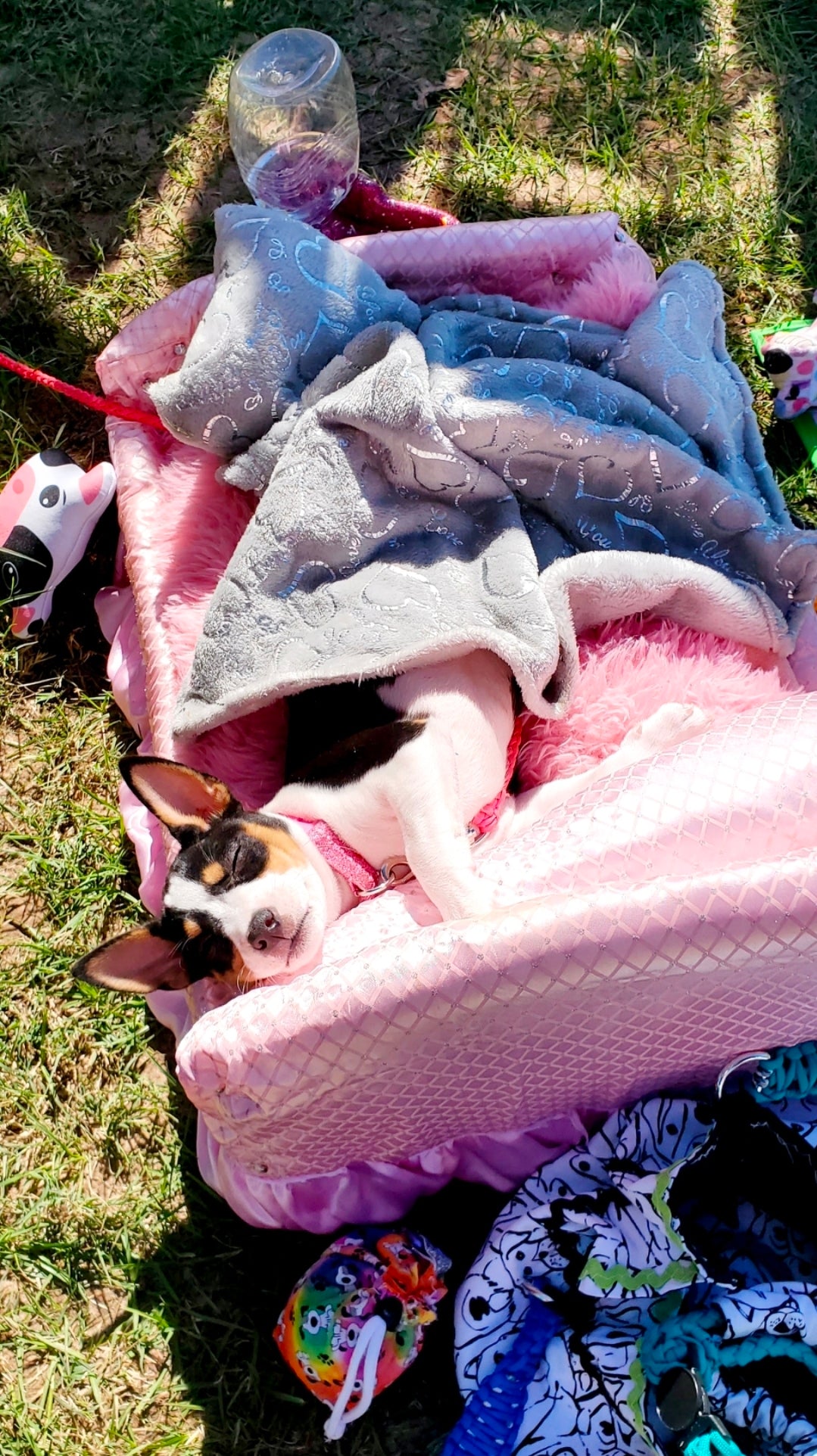 Custom Pet Bassinet Beds, Puppy Bassinet Beds, luxury pet bassinet bed