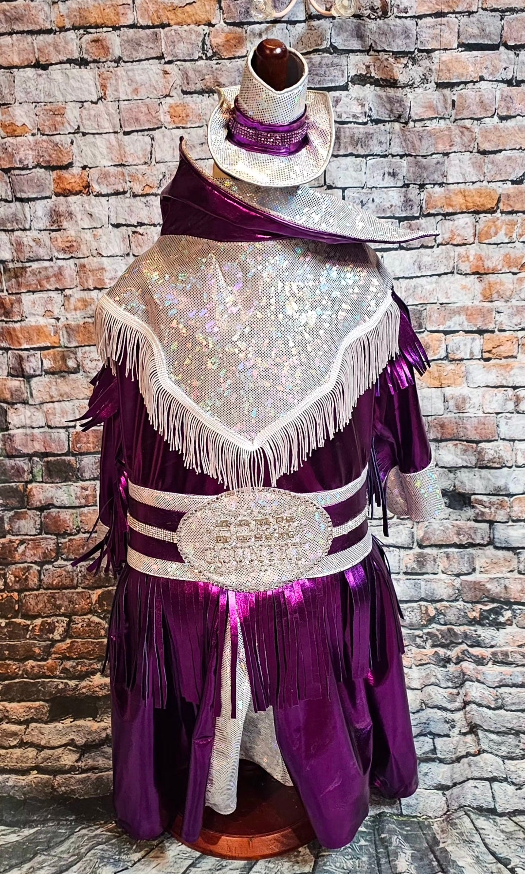 Metallic fringe country western pet dress costume, Rhinestone cowgirl fringe pet dress costume