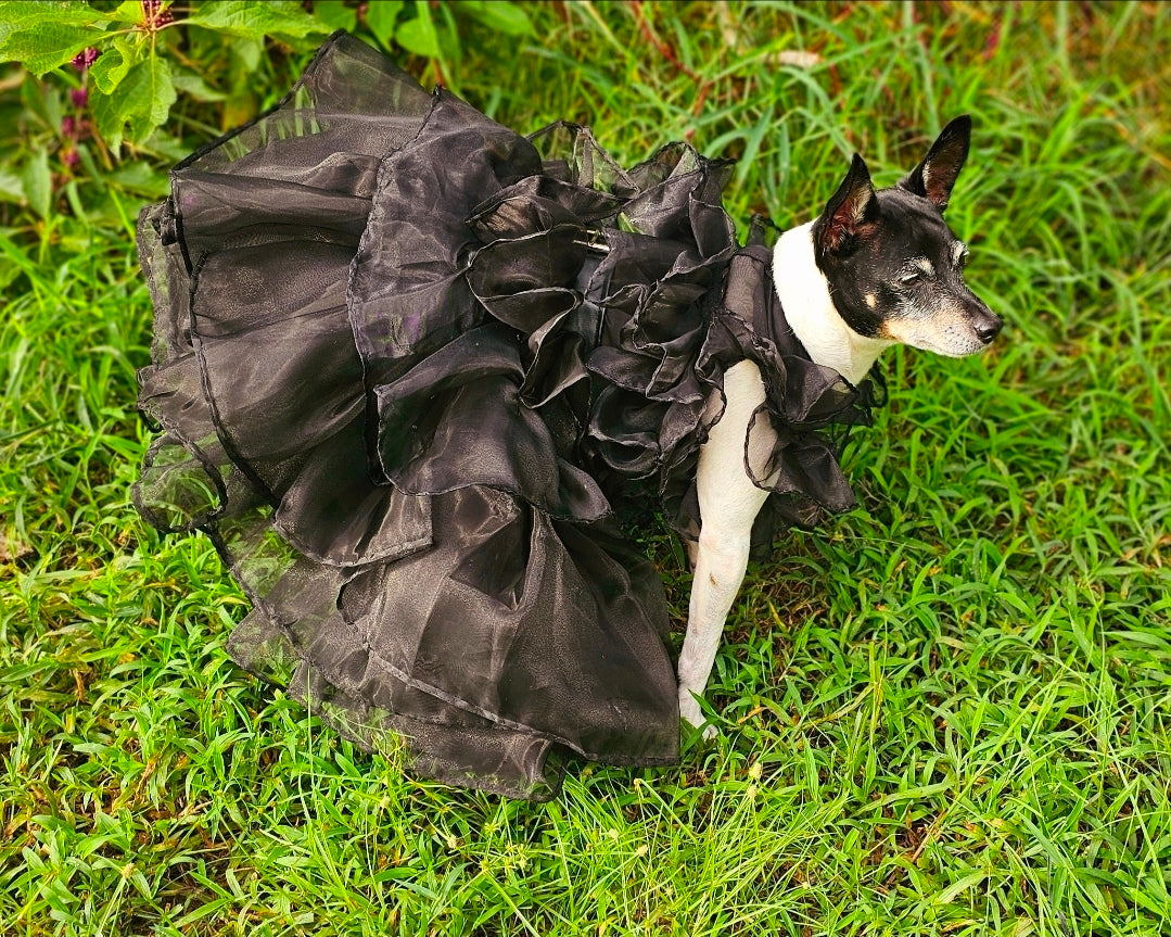 Wednesday Raven Pet Prom dress, Wednesday Pet Costume, Wednesday Raven Dog dress