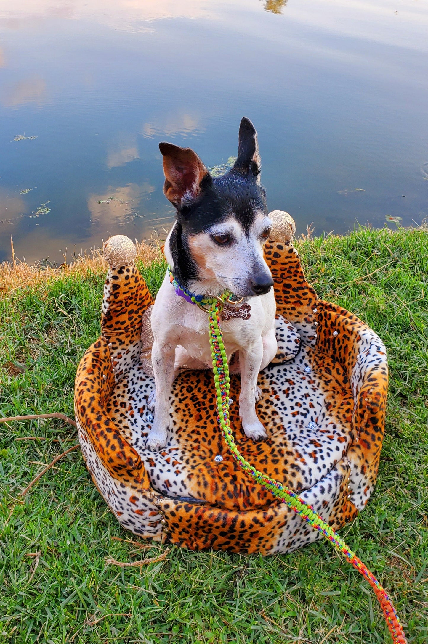 Leopard Royalty Crown Pet Bed, pet beds, luxury round pet beds, luxury dog beds, luxury crown leopard pet bed, leopard crown cat bed