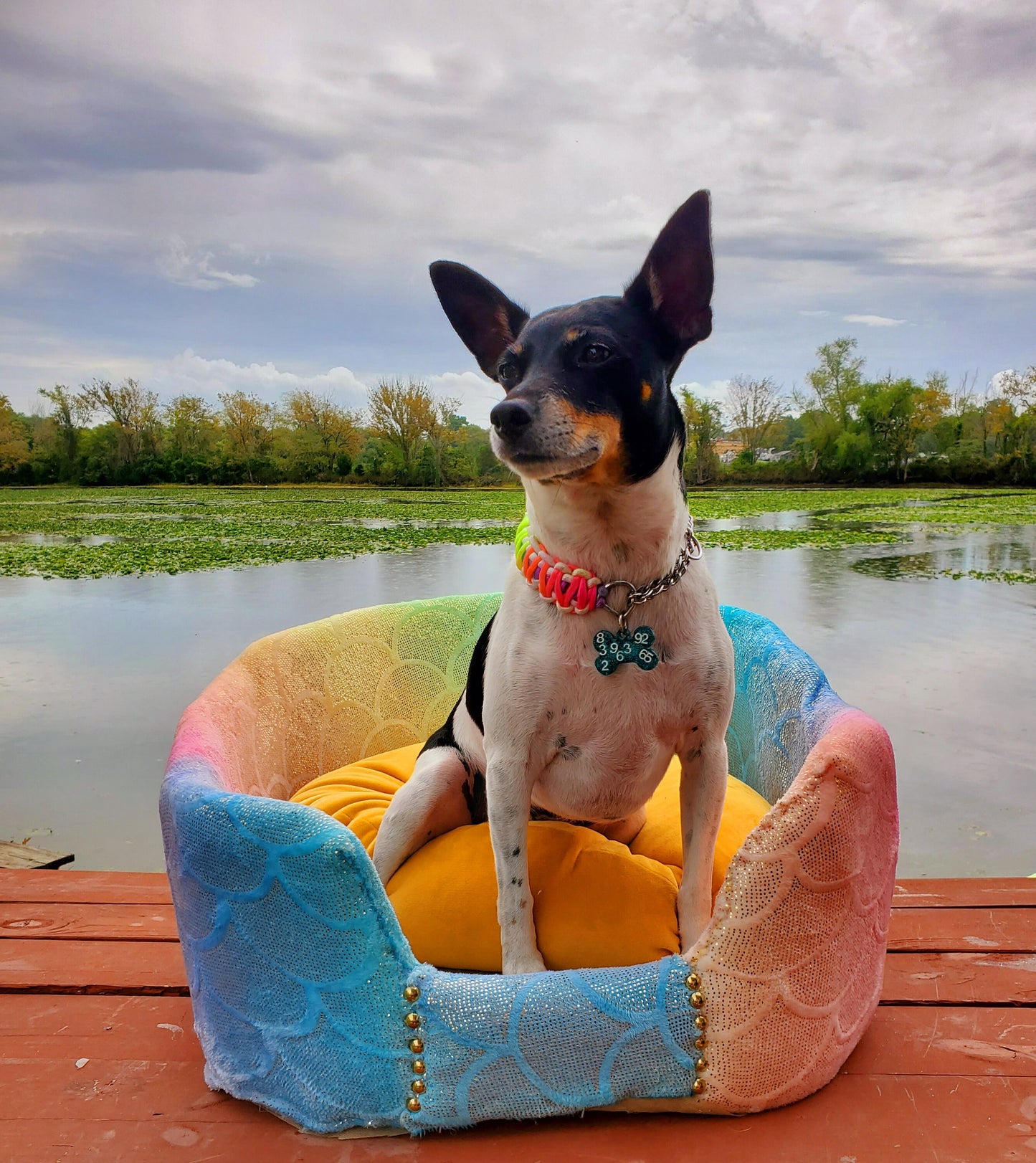 Rainbow Mermaid round pet bed Rainbow car bed Rainbow dog bed, Round luxury pet bed, pet furniture, dog beds for pets