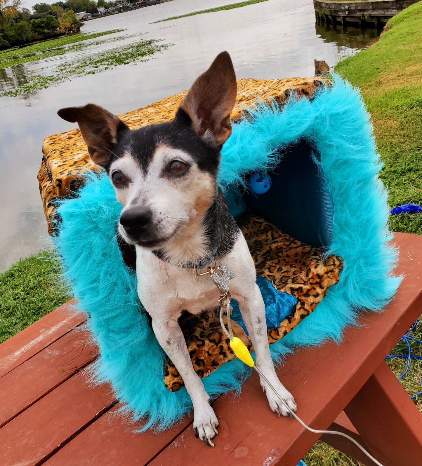 Cat Play Bed, Two Story cat play bed, Pet two story bed. Two story Pet house. Leopard, animal Print bed, beds for cats, aqua cat bed, feathe