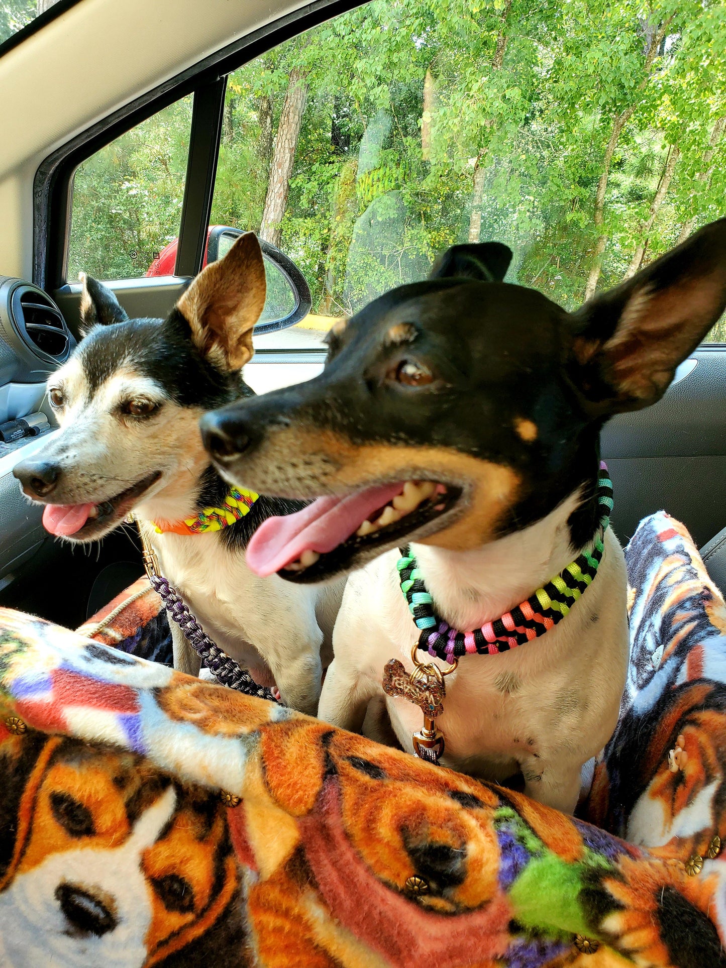 Pet, Cat, Dog Car Booster Seat/Pet Bed Dog Car Seat for Dogs Cat Car Seat