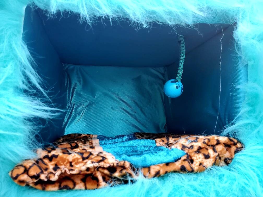 Cat Play Bed, Two Story cat play bed, Pet two story bed. Two story Pet house. Leopard, animal Print bed, beds for cats, aqua cat bed, feathe