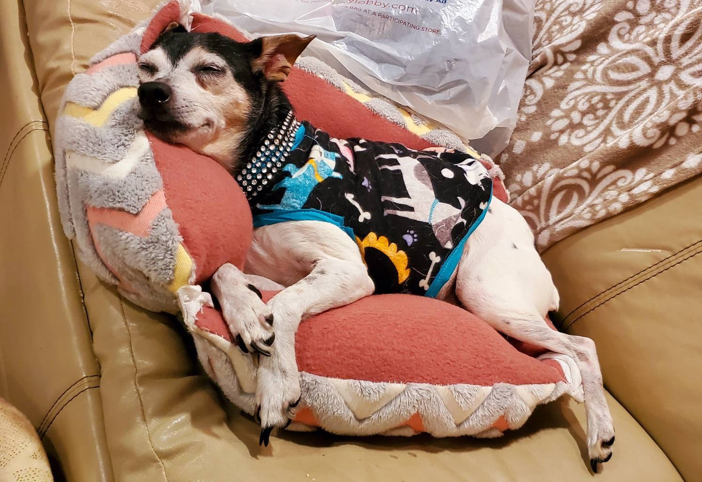 Dog Print Fleece Pet Jacket, Fleece Dog Jacket, Fleece Cat Jacket, Pet Jacket, Pet Shirt, Pet Clothes, dog coat, pet coat, Fleece pet shirt