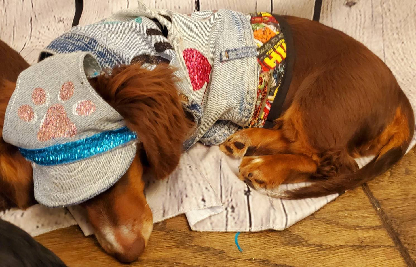 Personalize Pet hats, Blue Jean Pet Hat, Blue Jean Dog hat, Blue jean cat hat, pet hats, dog hats, cat hats, hats for dogs, hats for cats