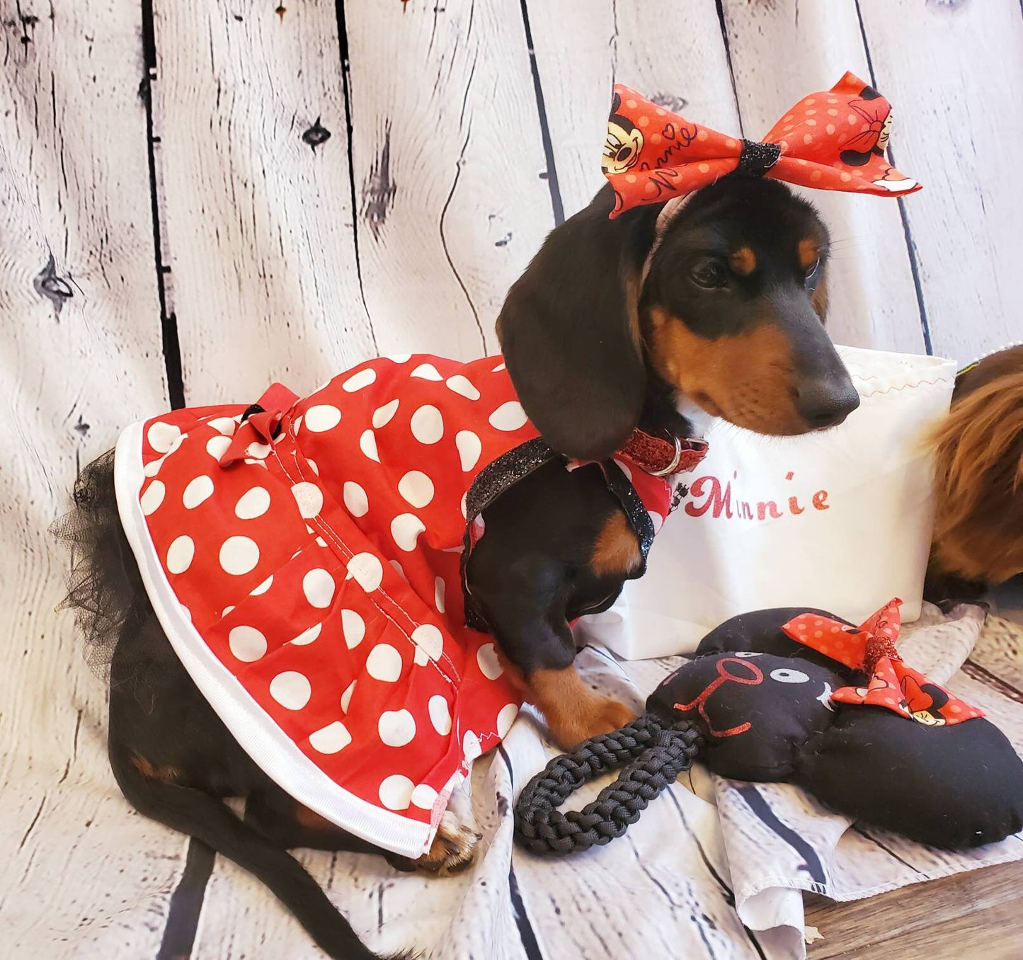Minnie Mouse costume, Minnie Mouse costume dress, Minnie mouse cat dress costume, red polka pet dress, red polka dot dog dress