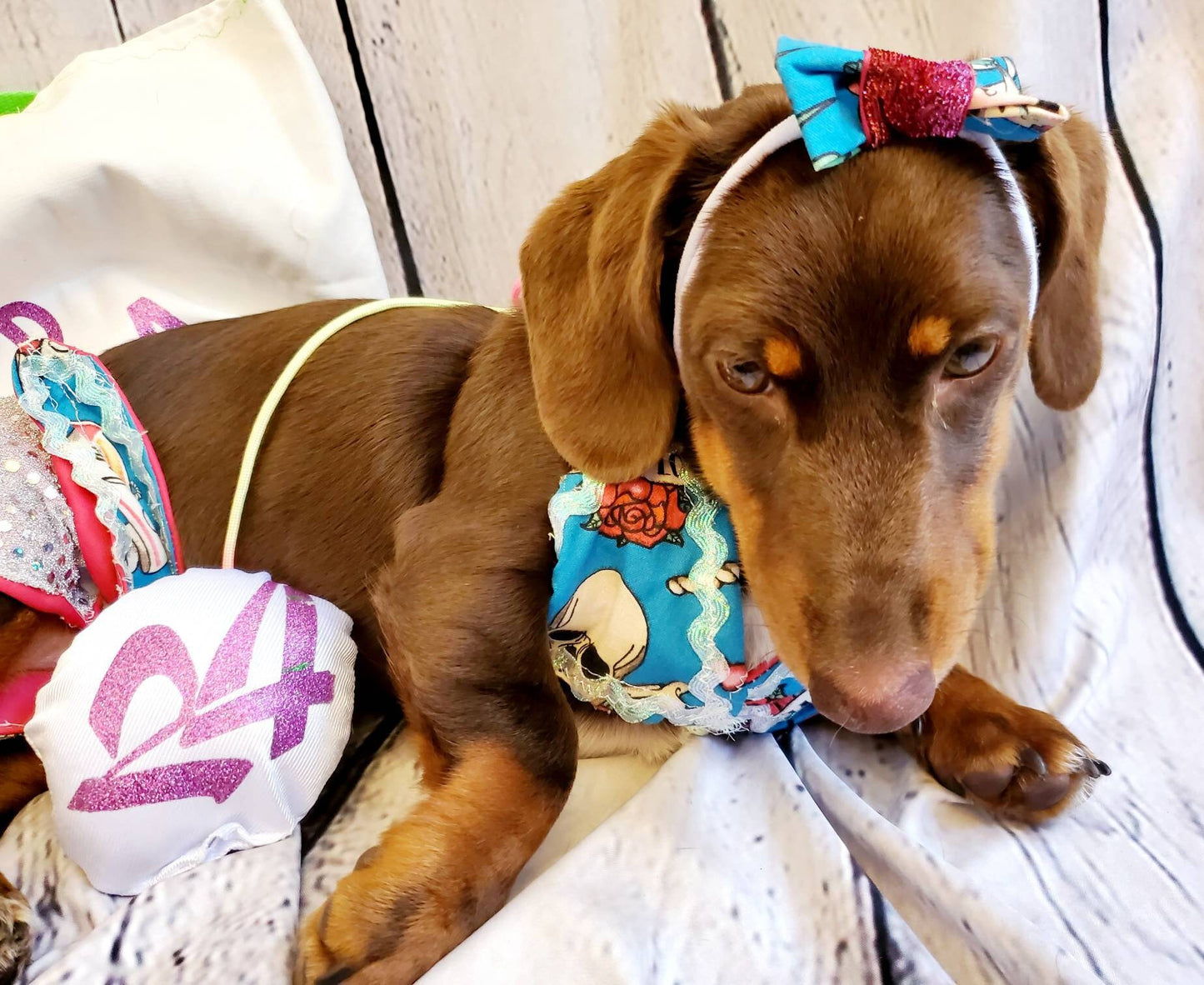 Pet Bathing Suit, Pet string bikini, dog bathing suit, pet bikini, dog bikini, cat bikini, cherry pet bikini, triangle pet bikini, polka dot