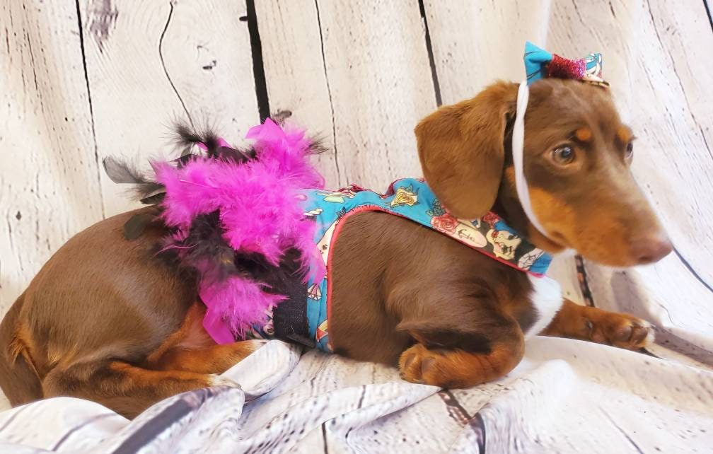 Tattoo print pet harness, Tattoo print pet dress jacket, feather harness jacket, pet harness, cat harness, dog harness, dog dress, pet dress