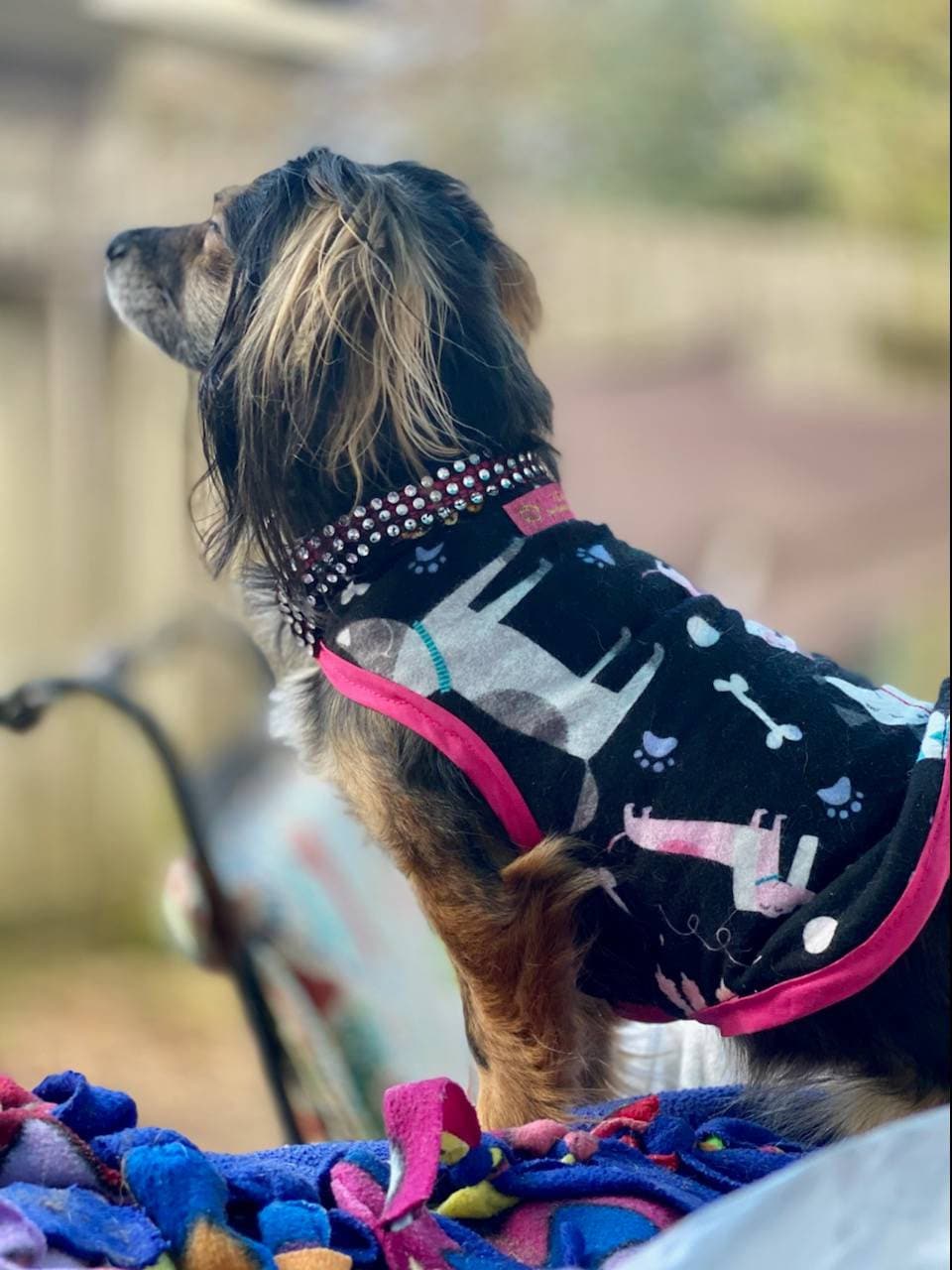 Dog Print Fleece Pet Jacket, Fleece Dog Jacket, Fleece Cat Jacket, Pet Jacket, Pet Shirt, Pet Clothes, dog coat, pet coat, Fleece pet shirt