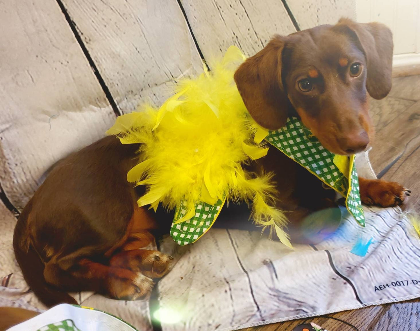 John Deere Pet apparel, John Deere pet clothing, John Deere cat, dog, pet dress, John Deere cat, dog pet shirt, John Deere cat shirt, dress