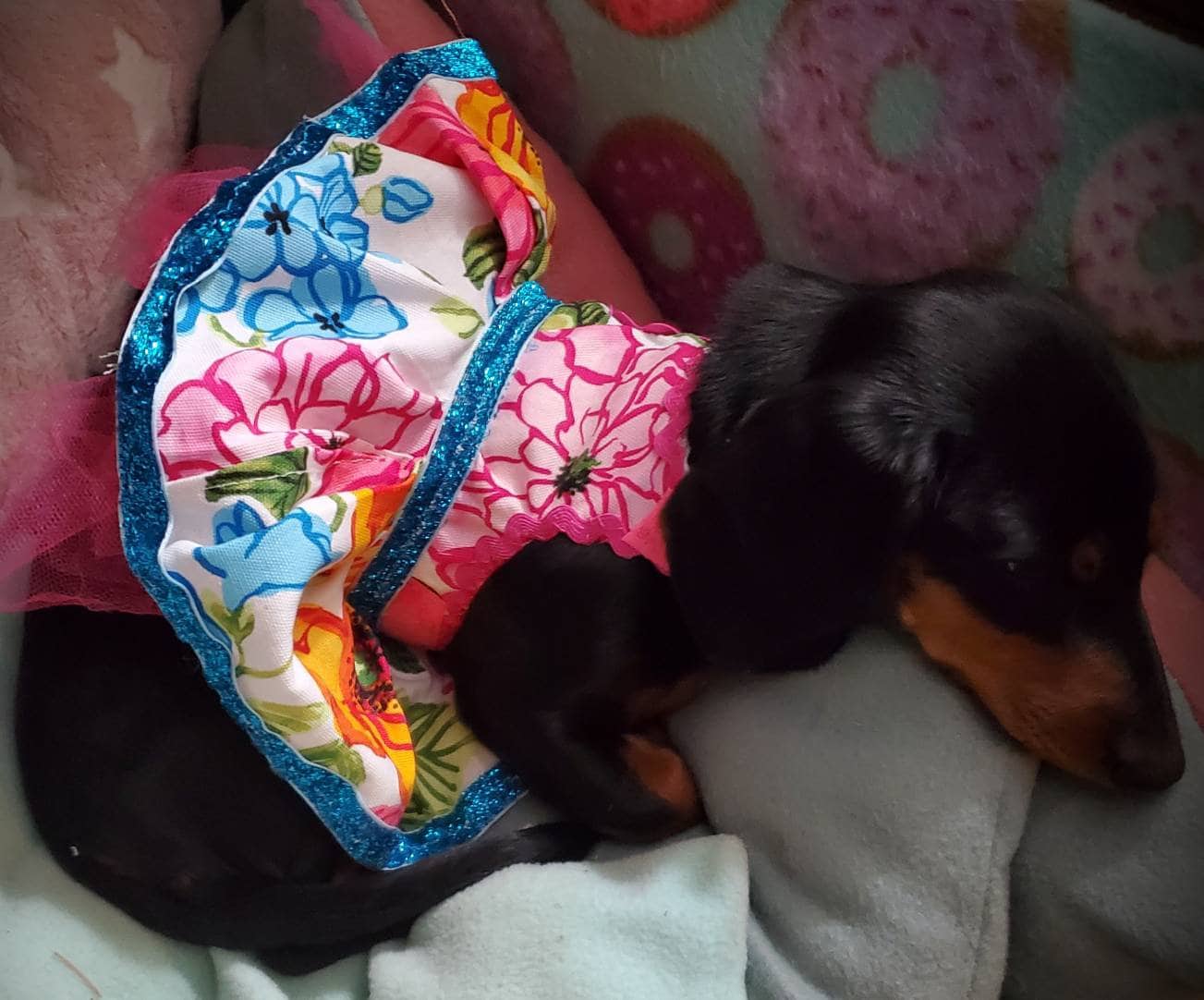 Flower dog dress, flower pet dress, flower cat dress, pet dresses, adjustable pet dress, colorful pet dress, cat dresses, dog dresses